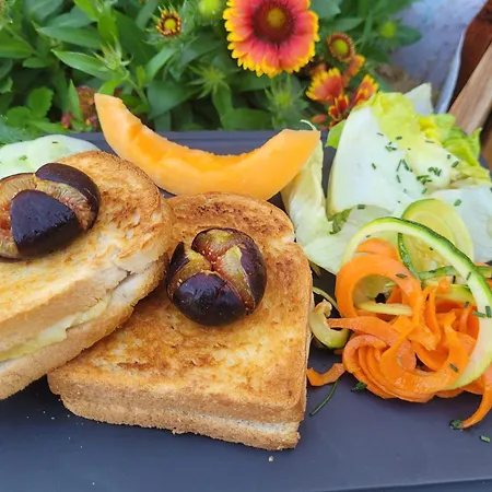 L'oasienne Lissac et Mouret